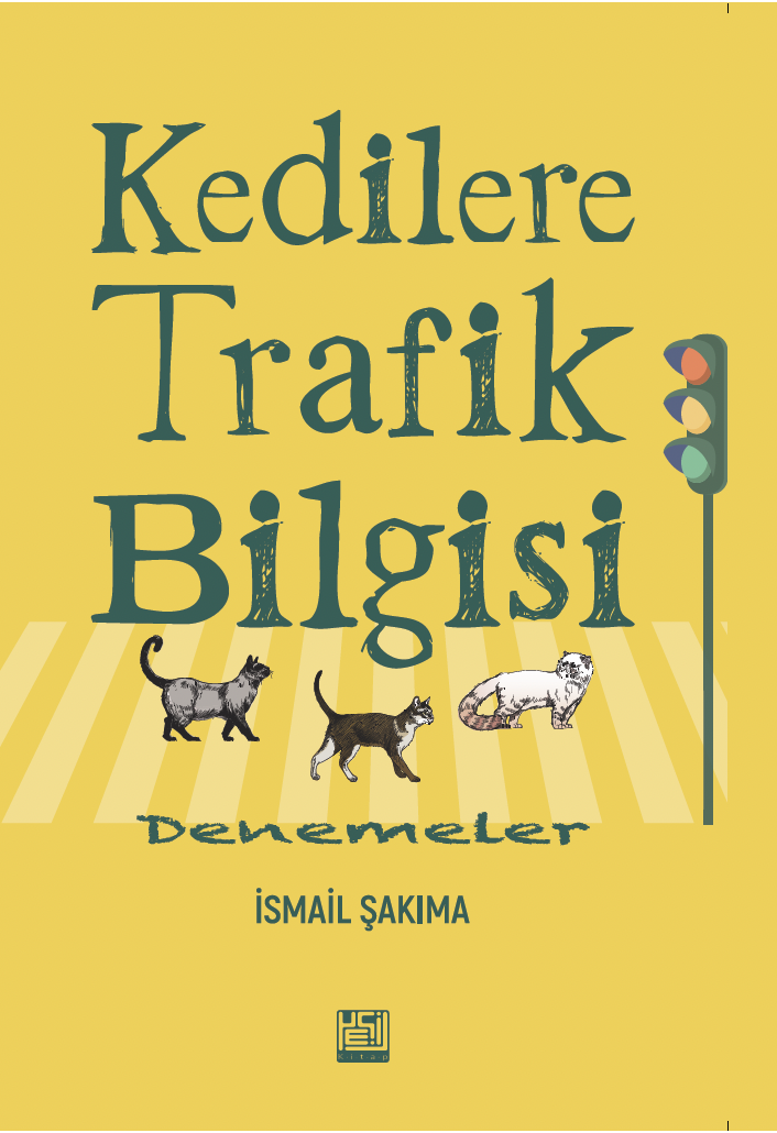 KEDİLERE TRAFİK BİLGİSİ: DENEMELER